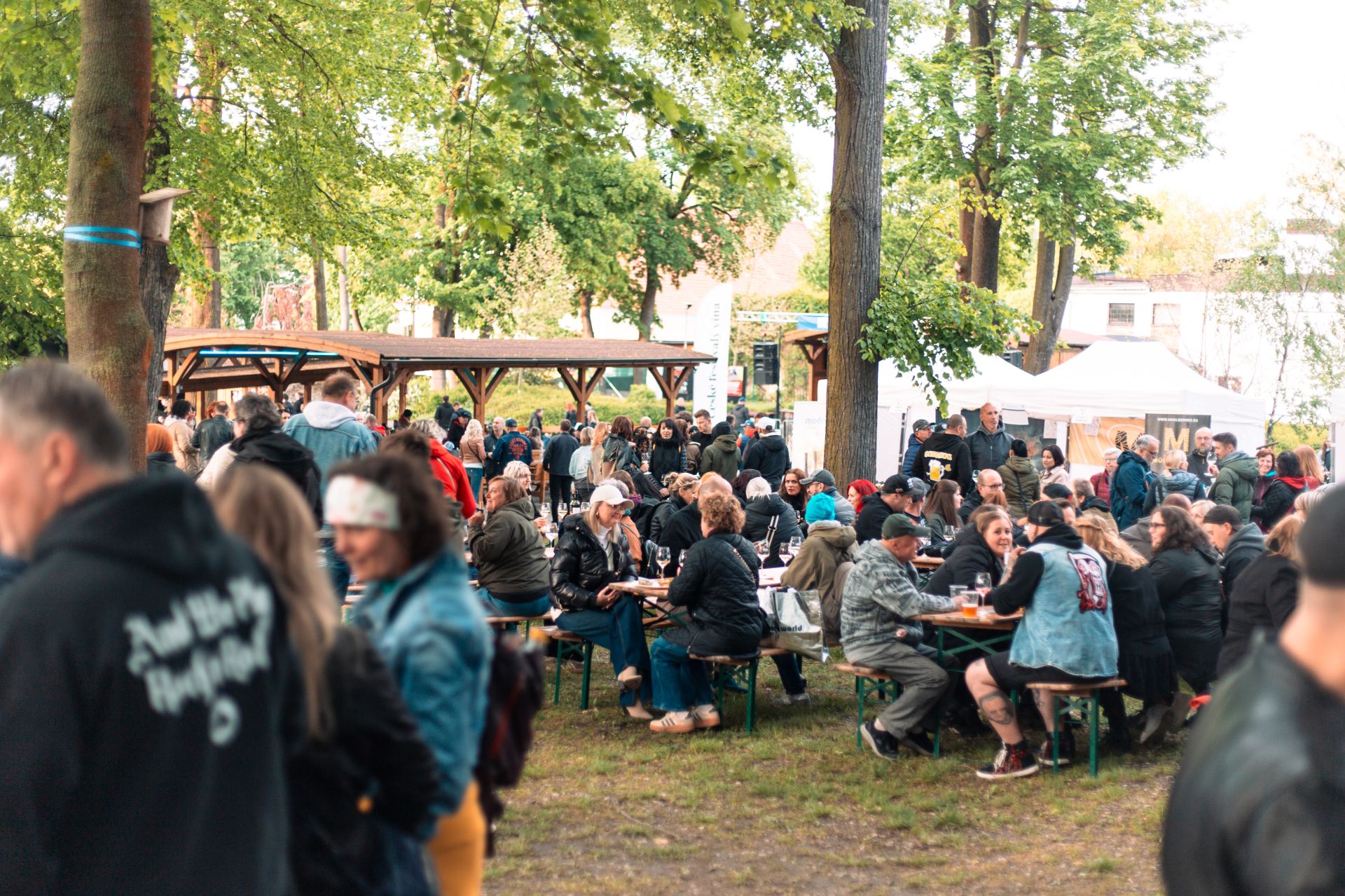 Strakonick&yacute; festival v&iacute;na 2026